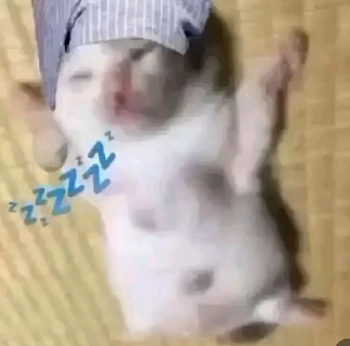dormir